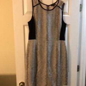 Tahari Arthur S. Levine Dress